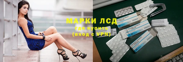 стафф Вязьма