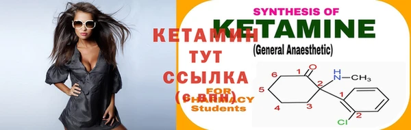 стафф Вязьма
