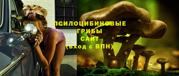 стафф Вязьма