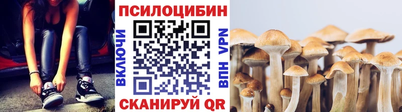 Купить  Сорочинск  Псилоцибиновые грибы GOLDEN TEACHER 
